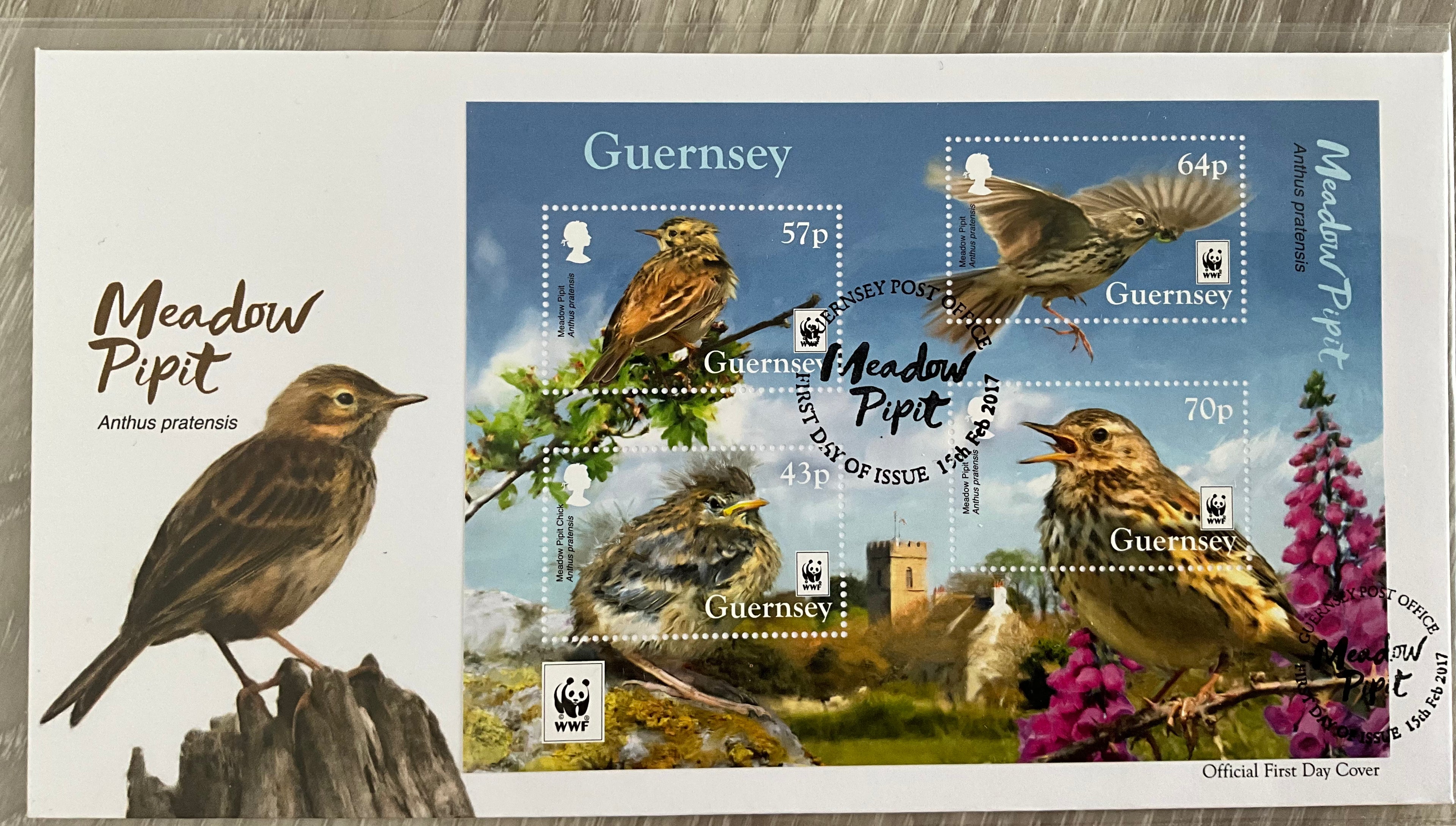 2017 Guernsey "Meadow Pipit" WWF First Day Cover (FDC) – Souvenir Sheet